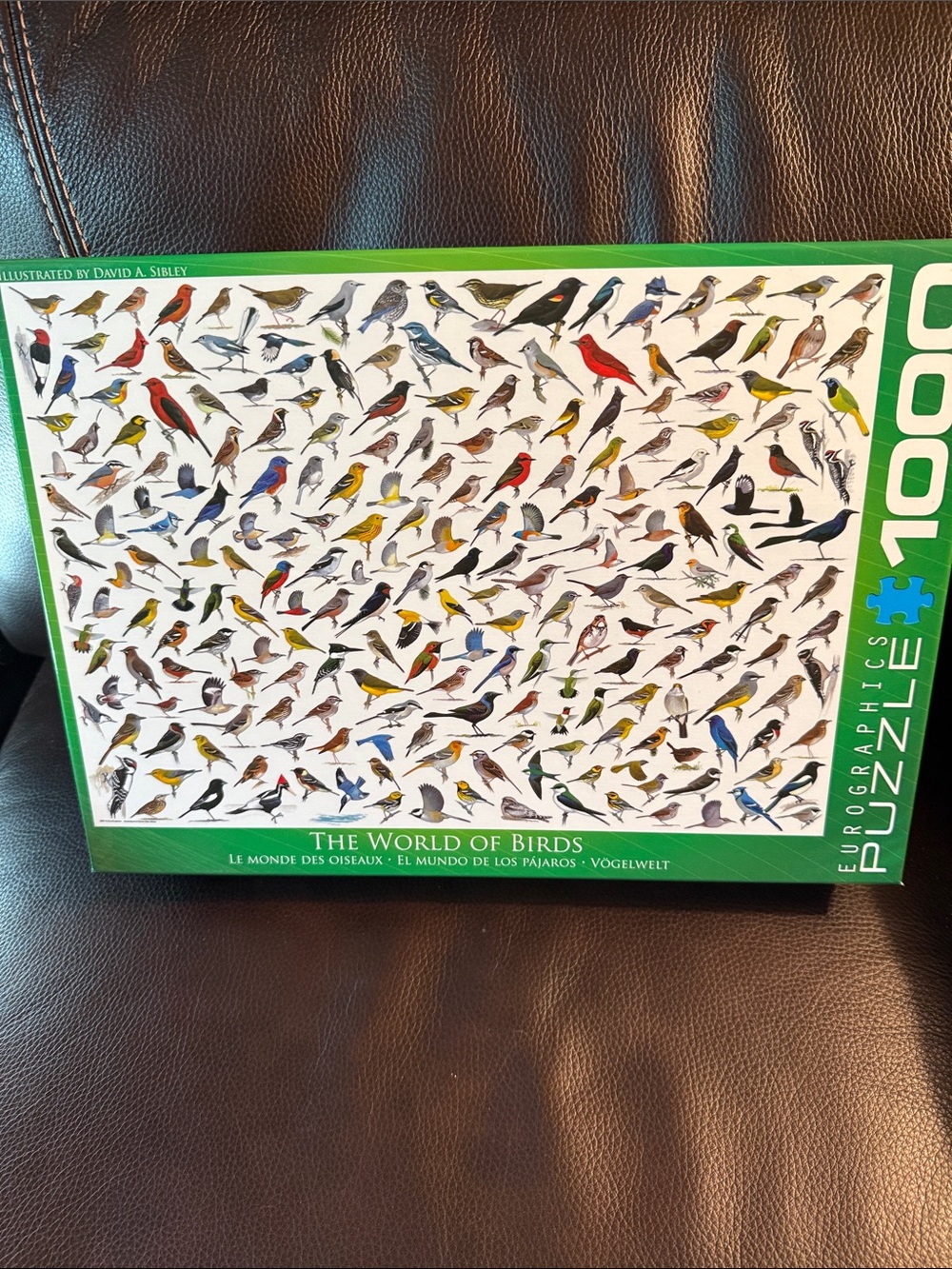 EuroGraphics The World of Birds 1000-Piece Puzzle - Green